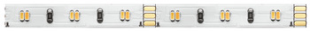 LED trak, Häfele Loox5 LED 2064 12 V 8 mm 3-pol. (več odtenkov bele), 2 x 60 LED sijalk/m, 4,8 W/m, IP20