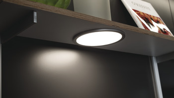 Surface mounted downlight, round, surface light, Häfele Loox5 LED 3023, plastic, 24 V