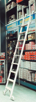Sliding ladder, for industrial areas