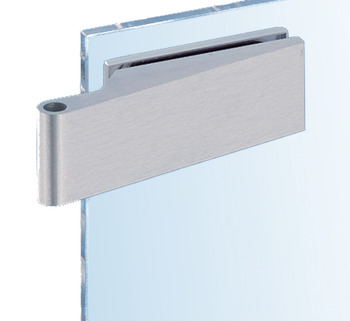 Glass door hinge, 2-piece (wing part), Dorma Glas