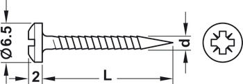 Screw-nail, Length 20 mm