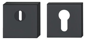 PC security escutcheon, With cylinder cover, Startec