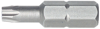 vijačni nastavek torx (IS), dolžina 25 mm, konusni